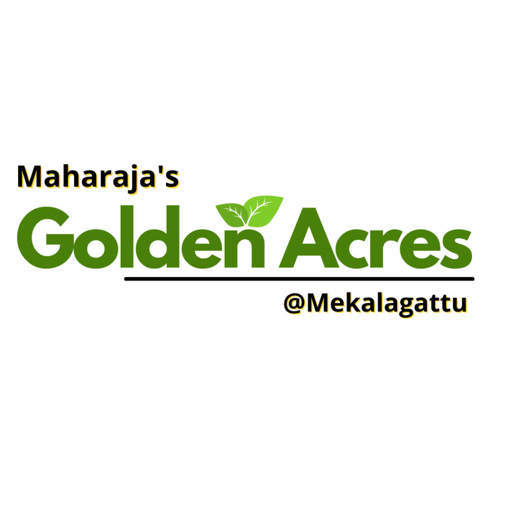 golden acres